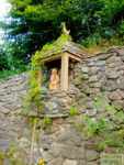 albertowka