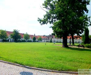 krzyzowa-palac