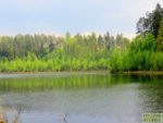skarby-lasu-gorzno