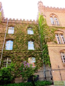 torun-atrakcje
